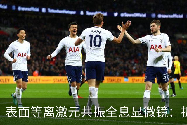 表面等离激元共振全息显微镜：折射率与厚度测量的新突破