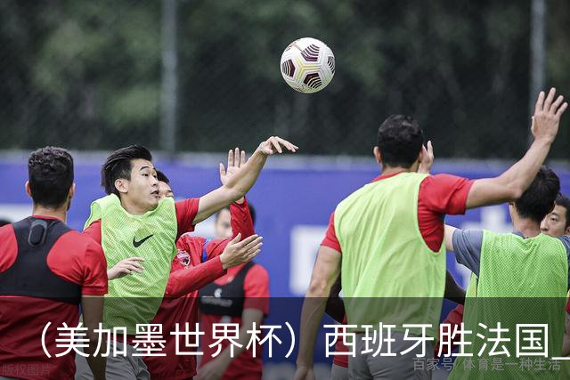 （美加墨世界杯）西班牙胜法国 队史第二次闯入世界杯决赛