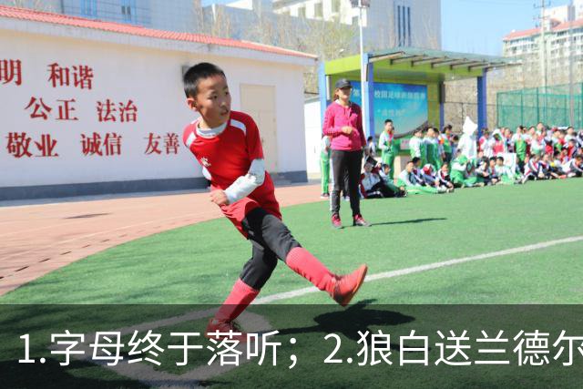 1.字母终于落听；2.狼白送兰德尔；3.杨这么贵？