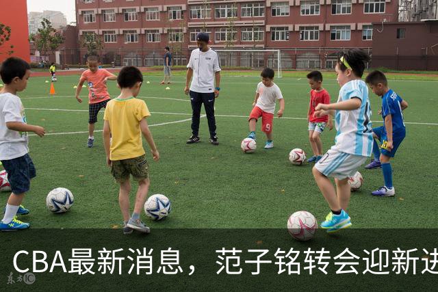 CBA最新消息，范子铭转会迎新进展，广东男篮杜锋等多人有新动态