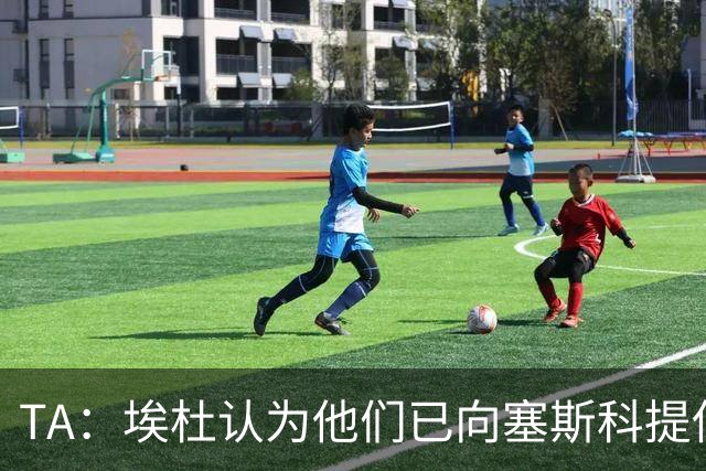 TA：埃杜认为他们已向塞斯科提供了很好的报价